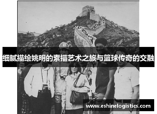 细腻描绘姚明的素描艺术之旅与篮球传奇的交融