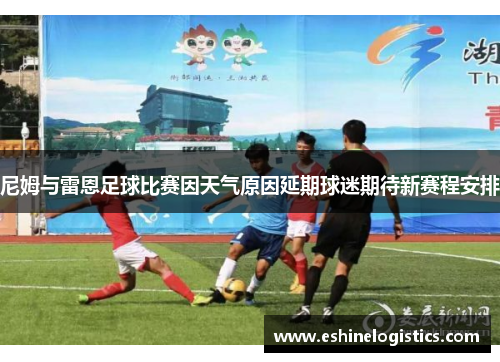 尼姆与雷恩足球比赛因天气原因延期球迷期待新赛程安排