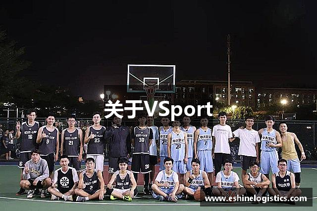 关于VSport